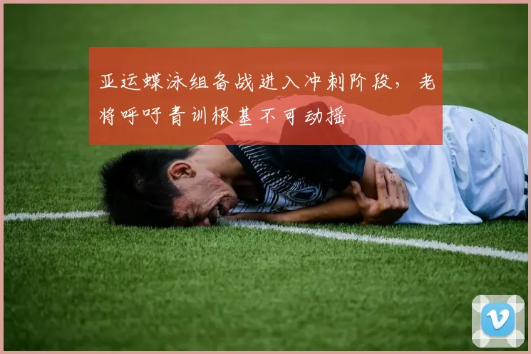 亚运蝶泳组备战进入冲刺阶段，老将呼吁青训根基不可动摇