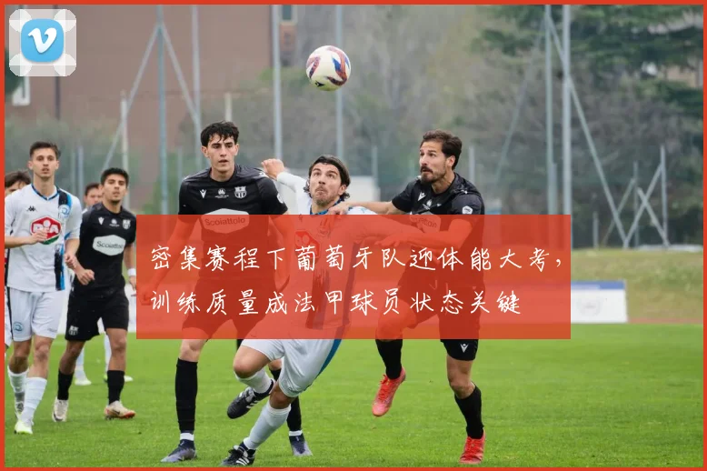 密集赛程下葡萄牙队迎体能大考，训练质量成法甲球员状态关键